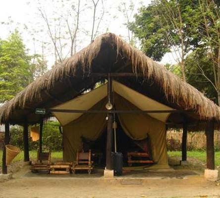 Eco Camp Nameri